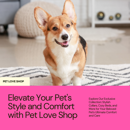 Unveiling the Latest Pet Accessory Trends: Elevate Your Pet's Style and Comfort with Pet Love Shop