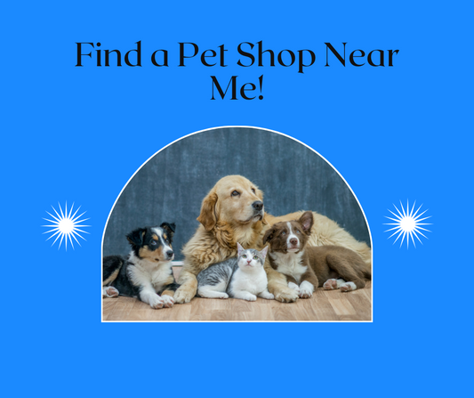 Finding the Best Pet Shop Near Me : A Comprehensive Guide