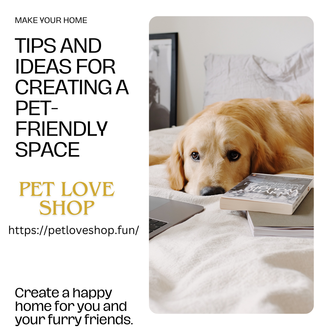 Creating a Pet-Friendly Home: Essential Home Accessories and Safety Tips for Your Furry Friends