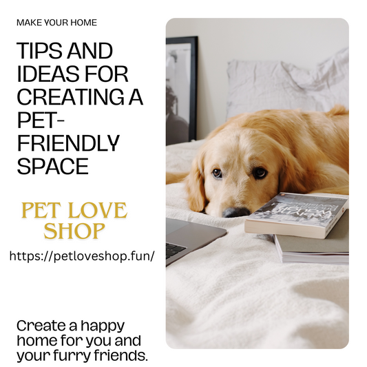 Creating a Pet-Friendly Home: Essential Home Accessories and Safety Tips for Your Furry Friends