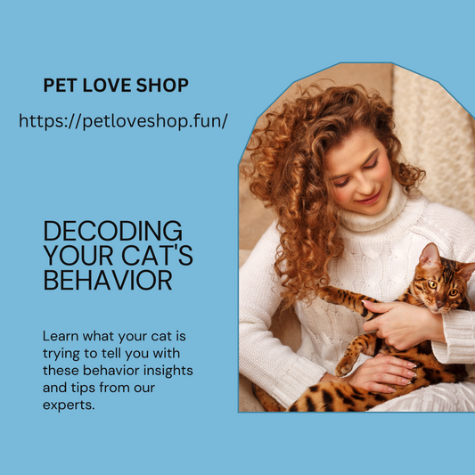 Decoding Your Cat's Behavior: Essential Accessories for Feline Mental Health and Well-being