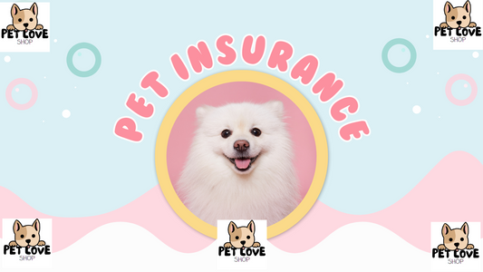 petloveshop.fun