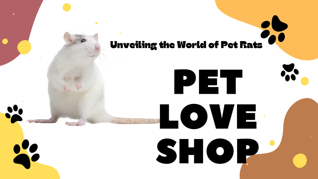 petloveshop.fun