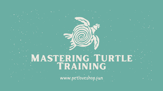 Mastering Turtle Training: A Comprehensive Guide for Pet Enthusiasts