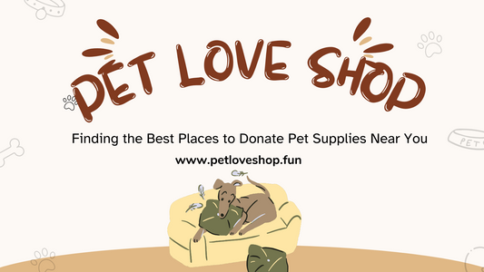 Best Places to Donate Pet Supplies Near You