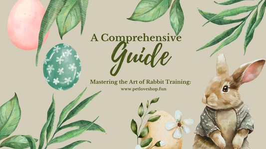 Mastering the Art of Rabbit Training: A Comprehensive Guide