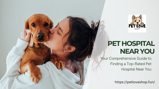 Your Comprehensive Guide to Finding a Top-Rated Pet Hospital Near You