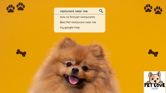 Unleash the Best Pet-Friendly Restaurants Near You: A Guide for Pet-Loving Foodies