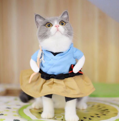 Cat Cosplay Costume | Funny Uniform Suit Cat Clothes | Dress-Up Party Clothing