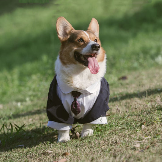 Pet Tuxedo Dog Dress Suit | Formal Attire for Pets