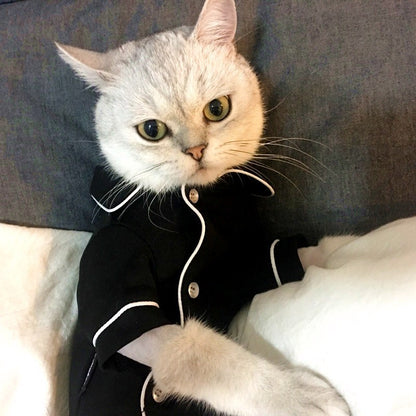 Summer Dress Cat Clothes: Stylish and Comfortable Feline Fashion