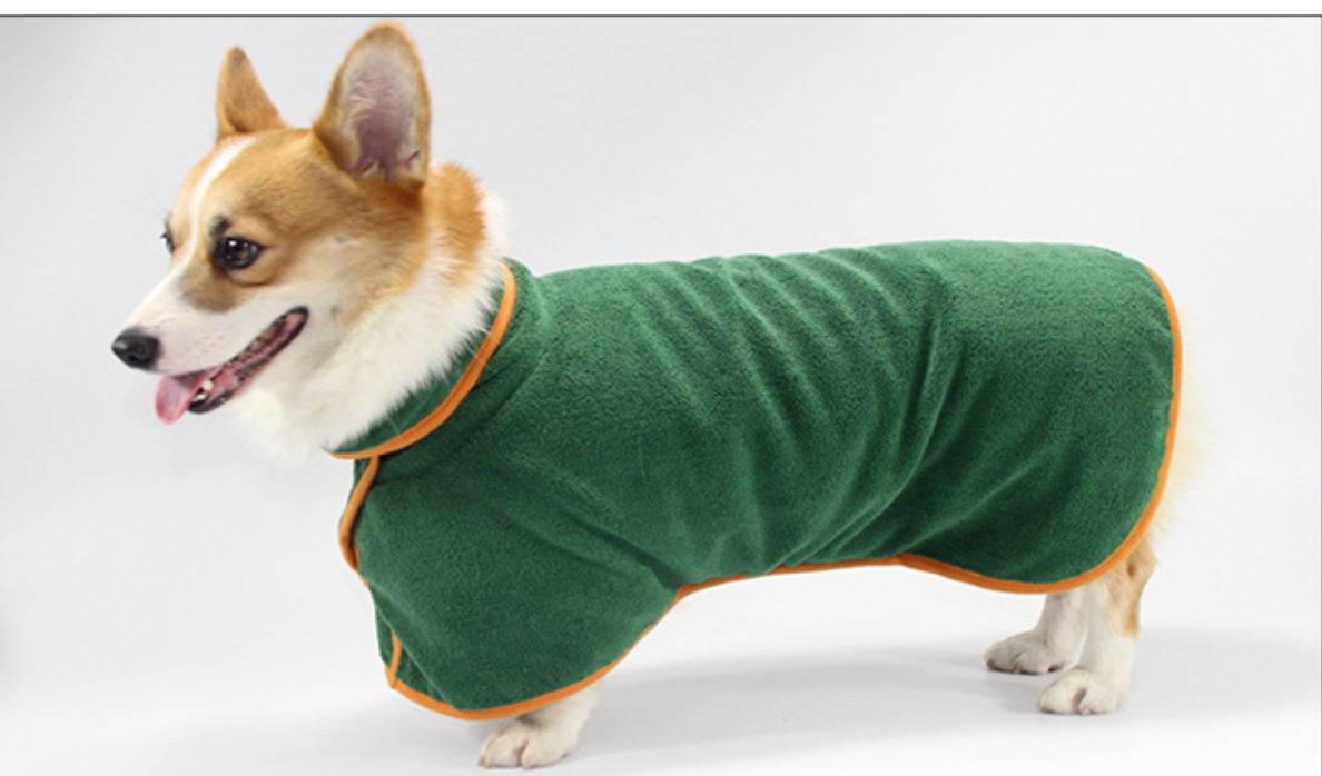 Hunde-Shirts mit versteckter Taille