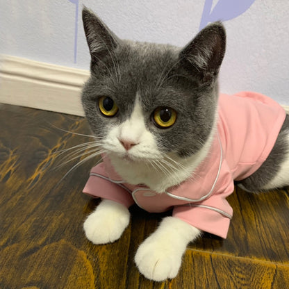 Sommerkleid für Katzen: Stilvolle und bequeme Katzenmode