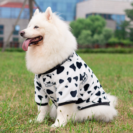 Dog Transformation Dress | Fashionable Pet Clothes for Stylish Dogs