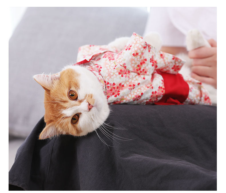 Dünnes Kimono-Kleid für haarlose Katzenpuppen