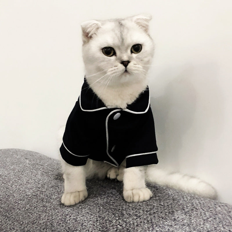 Sommerkleid für Katzen: Stilvolle und bequeme Katzenmode