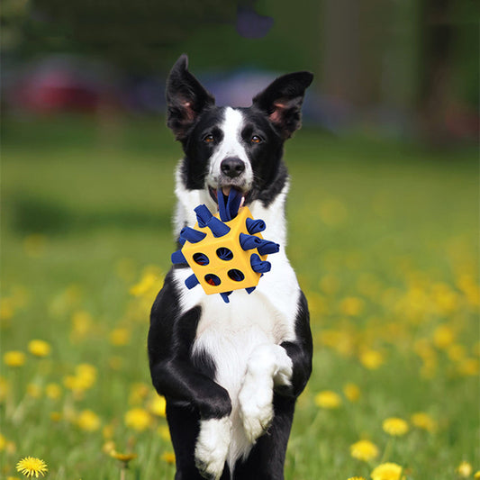 PawSmart Molar Cube For Dogs