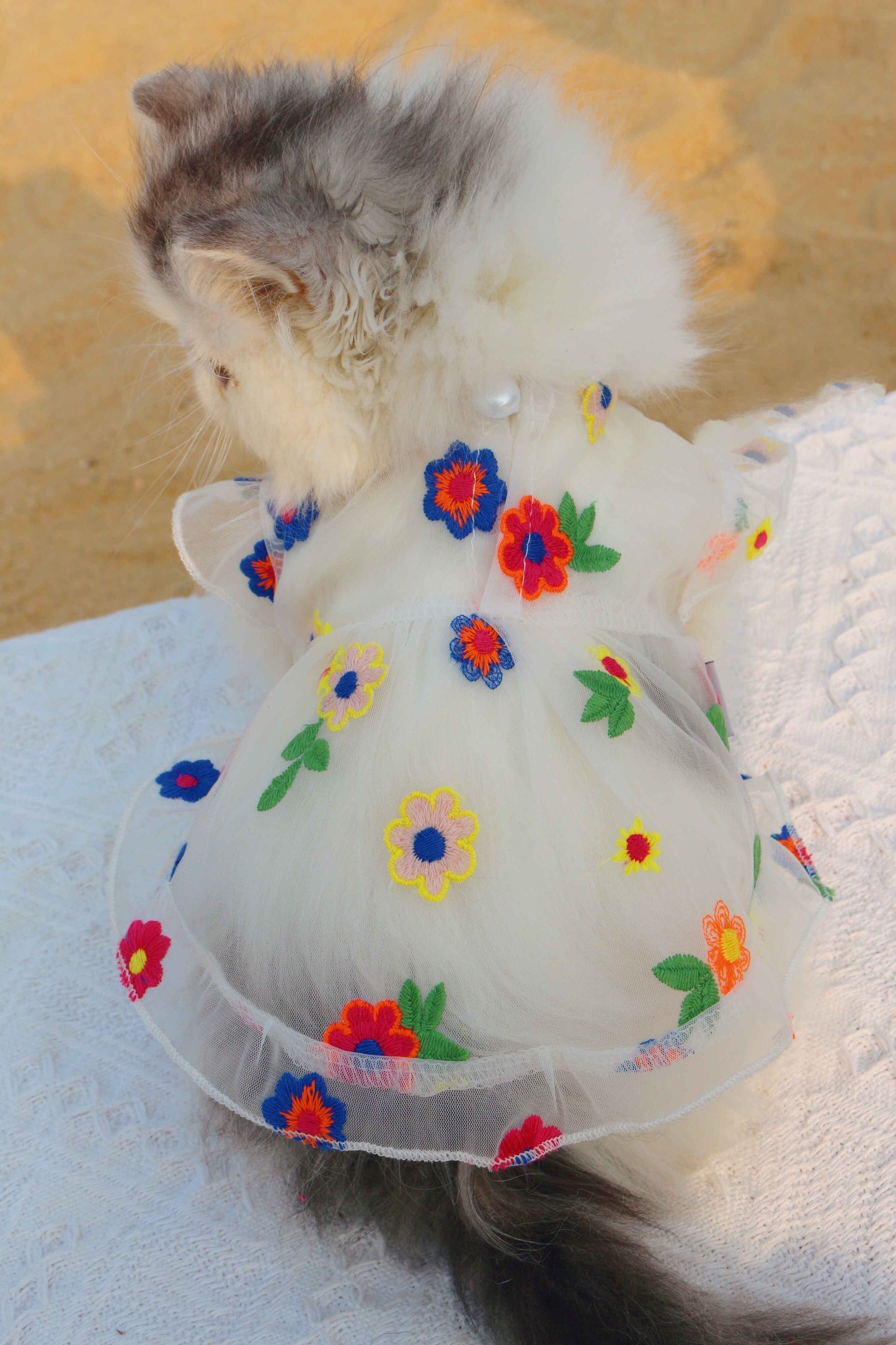 Katzenkleid aus Netzstoff mit Blumenstickerei | Haustierkleidung für Katzenmode