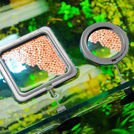 Aquarium Feeding Ring: Floating Food Station