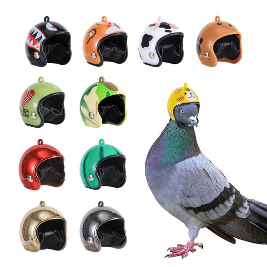 Pigeon Parrot Helmet