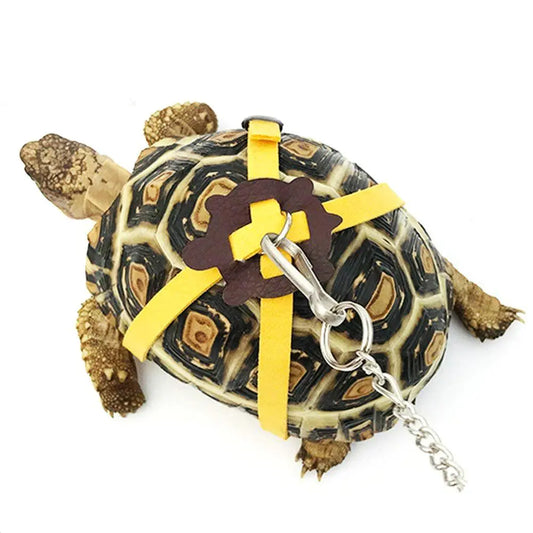 Small Pet Harness: Turtle Leash Combo
