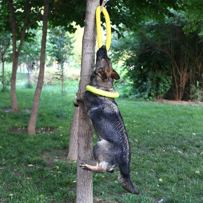 Frisbee-Spielzeug für Hunde