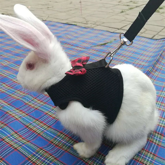 Rabbit Vest with Bowknot Leash: Multicolor