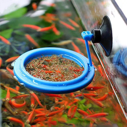 Aquarium Feeding Ring: Floating Food Station
