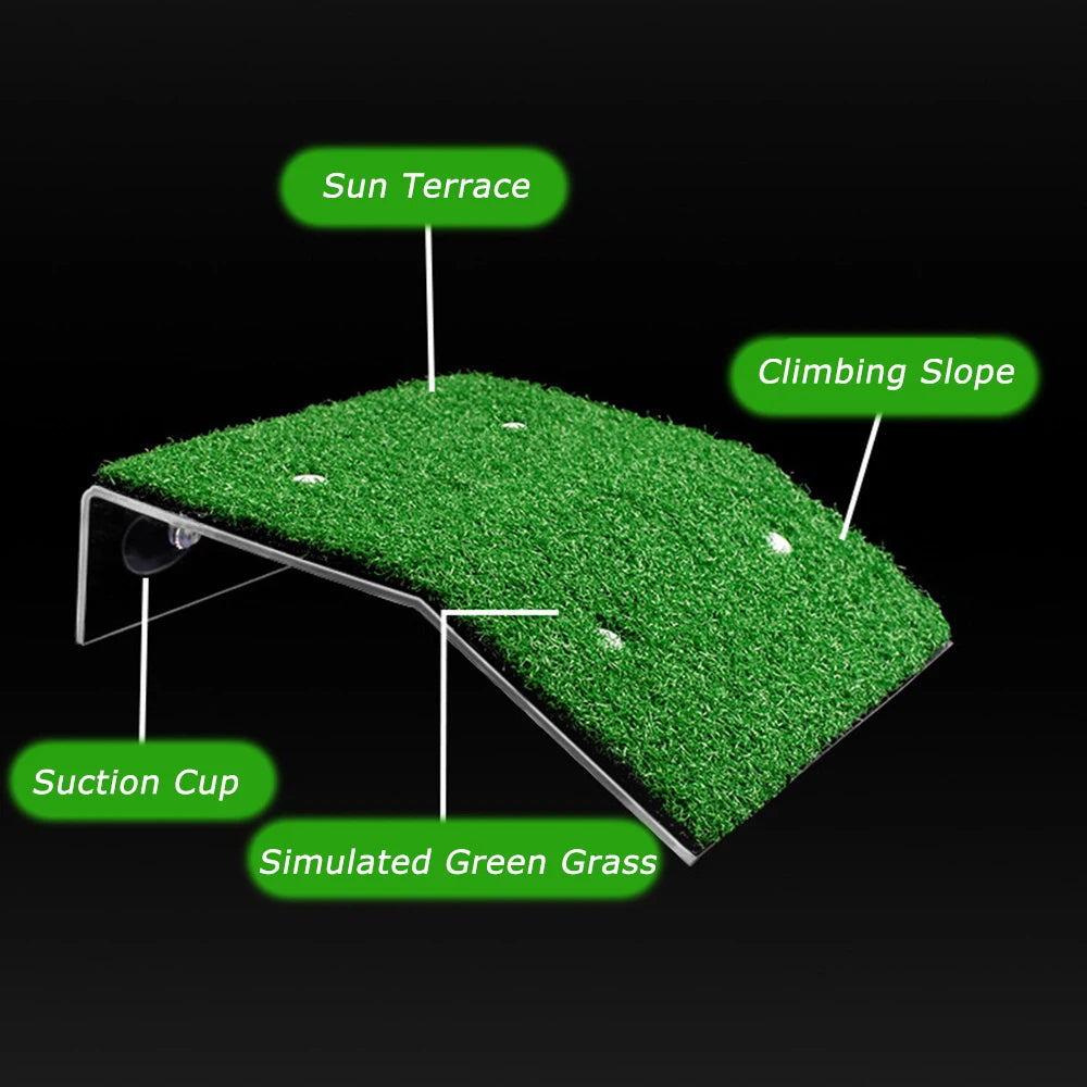 Turtle Ramp Basking Platform