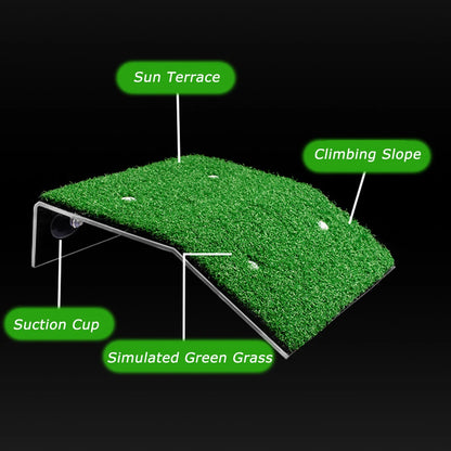 Turtle Ramp Basking Platform