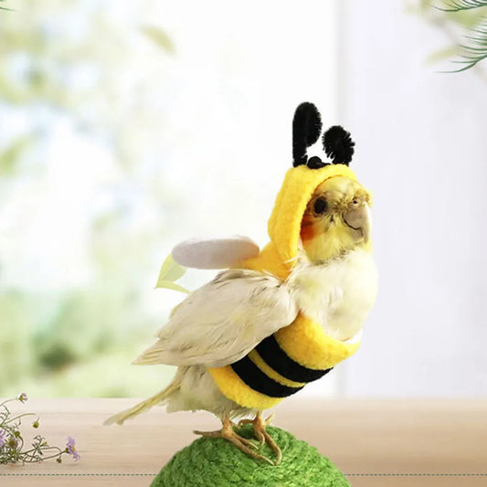 Funny Bee Shaped Birds Clothes