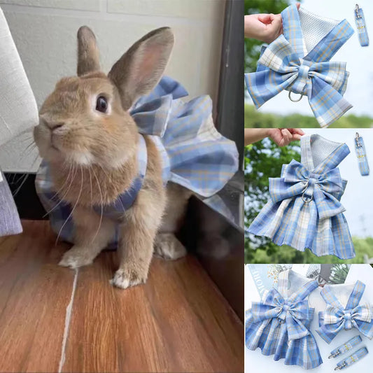 Rabbit JK Dresses and Leash Sets