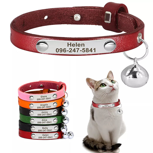 Personalized Pet Cat Collar