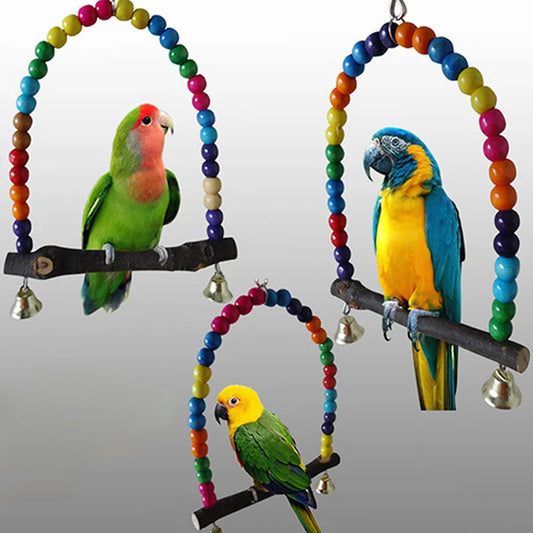 Colorful Bird Parrot Swing
