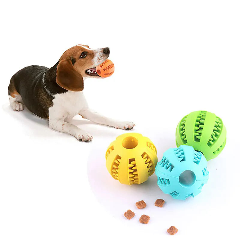 Dog Chew Ball Toys