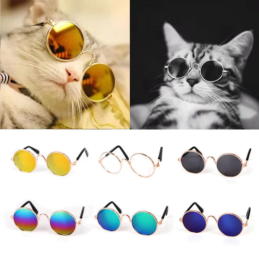 Cute Vintage Round Cat Sunglasses