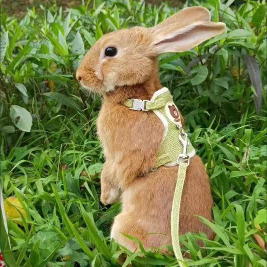 Newest Cute Rabbit Harness Set: Outdoor Pet Adventure