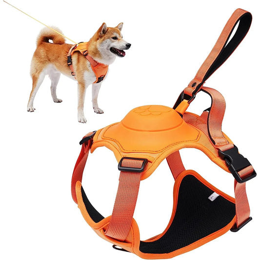 Dog Harness With Retractable Leash