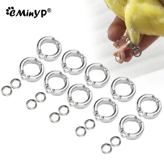 Parrot Metal Foot Rings