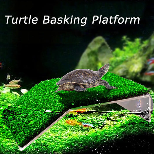 Turtle Ramp Basking Platform