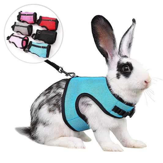 Adjustable Soft Harness with Elastic Leash for Rabbits