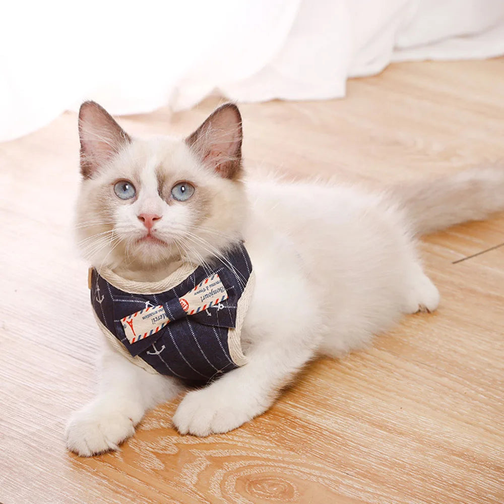 Bowknot Cat Harness