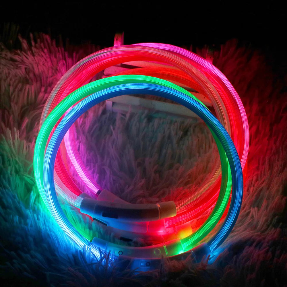 Buntes Hundehalsband mit LED