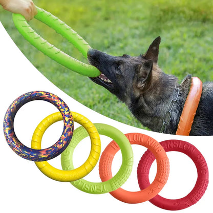 Frisbee-Spielzeug für Hunde