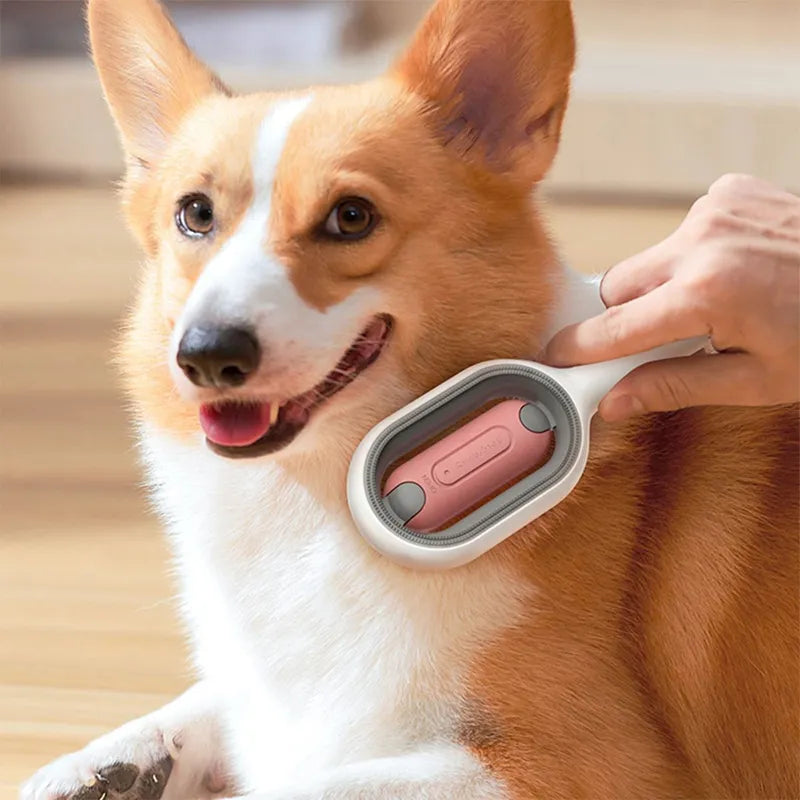 Pet Massage And Grooming Brush