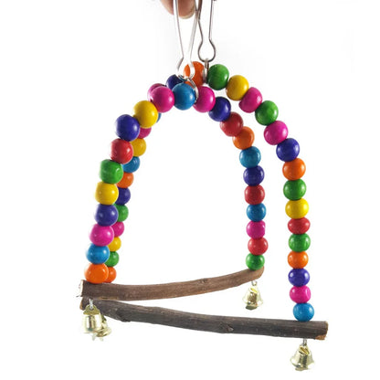 Colorful Bird Parrot Swing