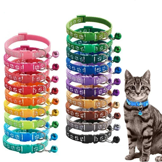 Pet Collar With Bell Cartoon