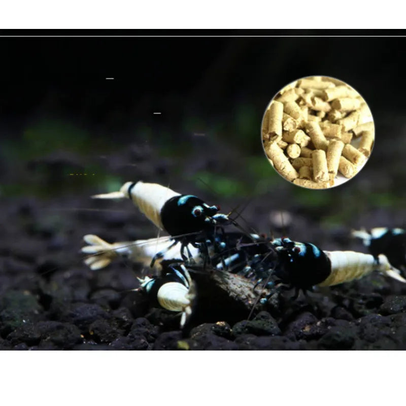 Aquarium Fish Shrimp Food: Nutrient-Rich Feed