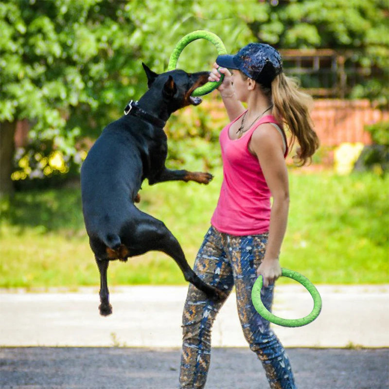 Frisbee-Spielzeug für Hunde