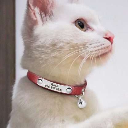 Personalisiertes Katzenhalsband